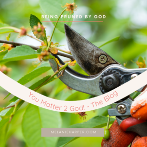 image of tree being pruned with a pruning instrument